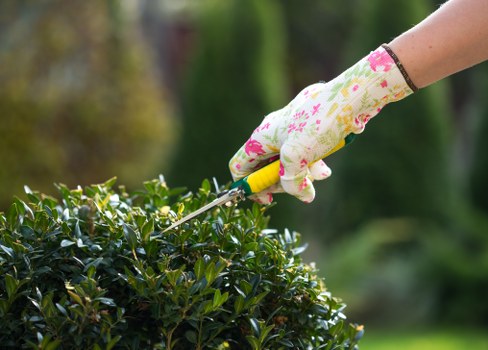 Gardening services in Harmondsworth for neat lawns and planted borders