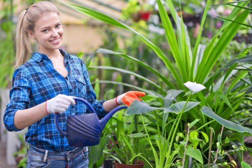 Gardeners Harmondsworth maintaining a neat and healthy garden