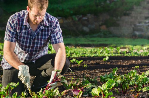 Experienced gardeners creating a tidy outdoor space in Harmondsworth
