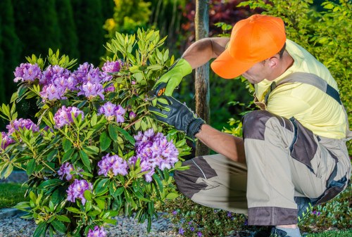 Gardener reviewing safety measures before starting outdoor work