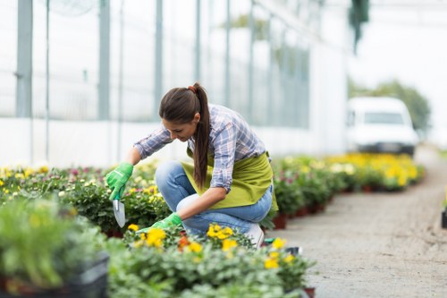 Garden clearance and tidy-up services for Harmondsworth properties