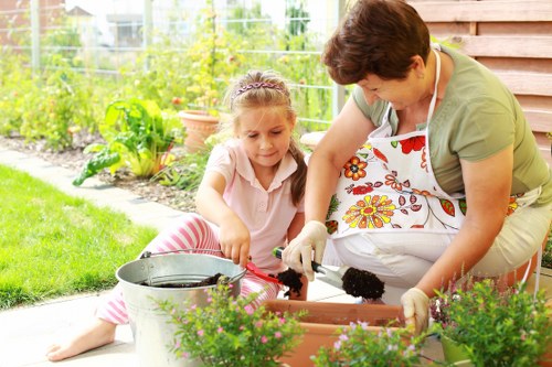 Lawn care and grass maintenance services in Harmondsworth garden