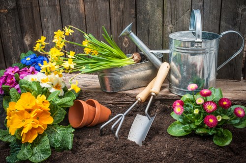 Professional lawn care in Harmondsworth for a lush garden