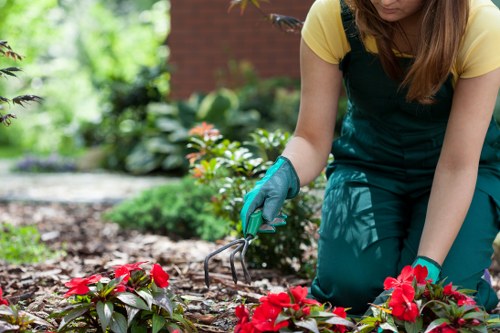 Harmondsworth garden design with structured planting and pathways