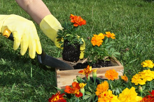 Reporting channels for modern slavery concerns in garden services