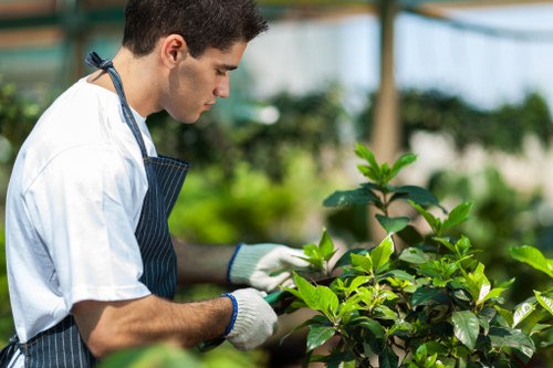 Garden maintenance with careful use of tools and protective equipment