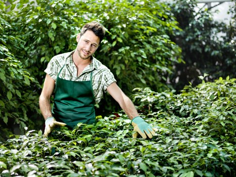 Final stage of a gardeners complaints procedure with clear outcome communication