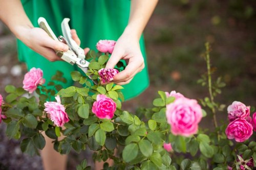 Year-round landscape gardening in Harmondsworth with seasonal planting