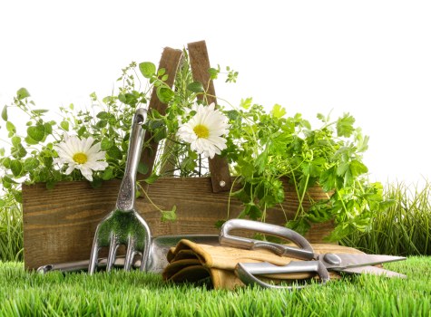 Gardeners dispute procedure with escalation and confidentiality measures