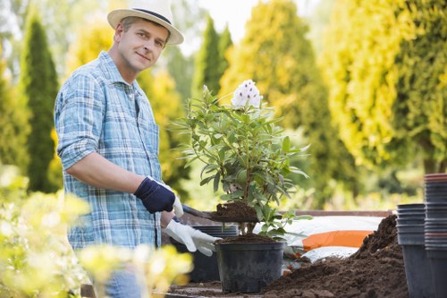 Commercial tree surgery and grounds maintenance in Harmondsworth