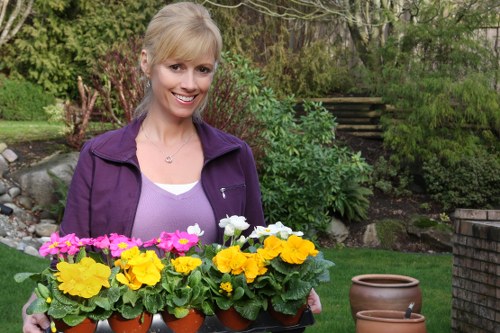 Professional garden clearance in Harmondsworth including branches and green waste collection