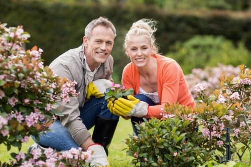 Professional garden maintenance in Harmondsworth with clean paths and healthy plants