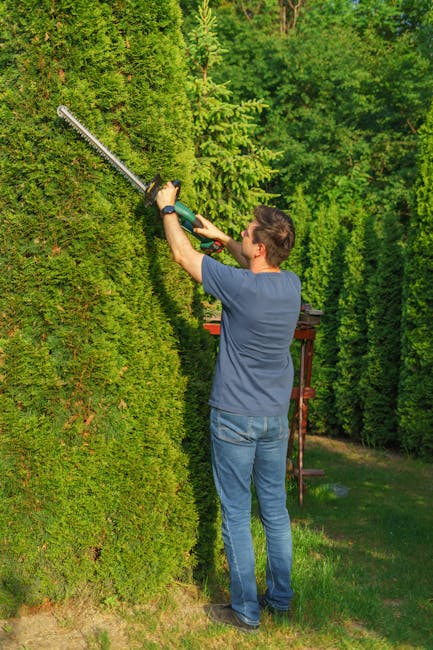 A man wearing a blue t-shirt and jeans is trimming a tall, dense hedge with a powered hedge trimmer in a well-maintained garden. The hedge consists of lush green foliage, neatly pruned into a vertical