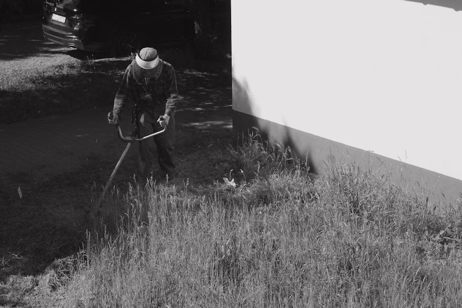 A man wearing a blue t-shirt and jeans is trimming a tall, dense hedge with a powered hedge trimmer in a well-maintained garden. The hedge consists of lush green foliage, neatly pruned into a vertical